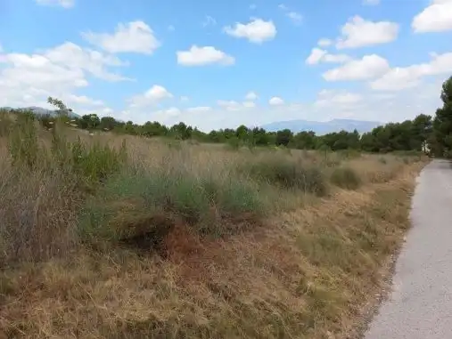 Residential land for sale in Partida Seus, imagen 8