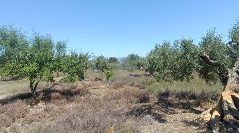 Foto 5 von Residential zum Verkauf in Les Tres Cales, L'Ametlla de Mar