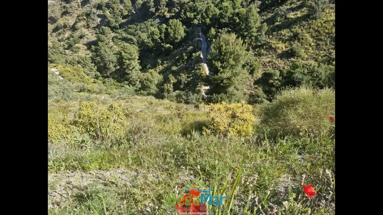 Terreny rústic en venda a Barranco de la Fifa, imagen 20
