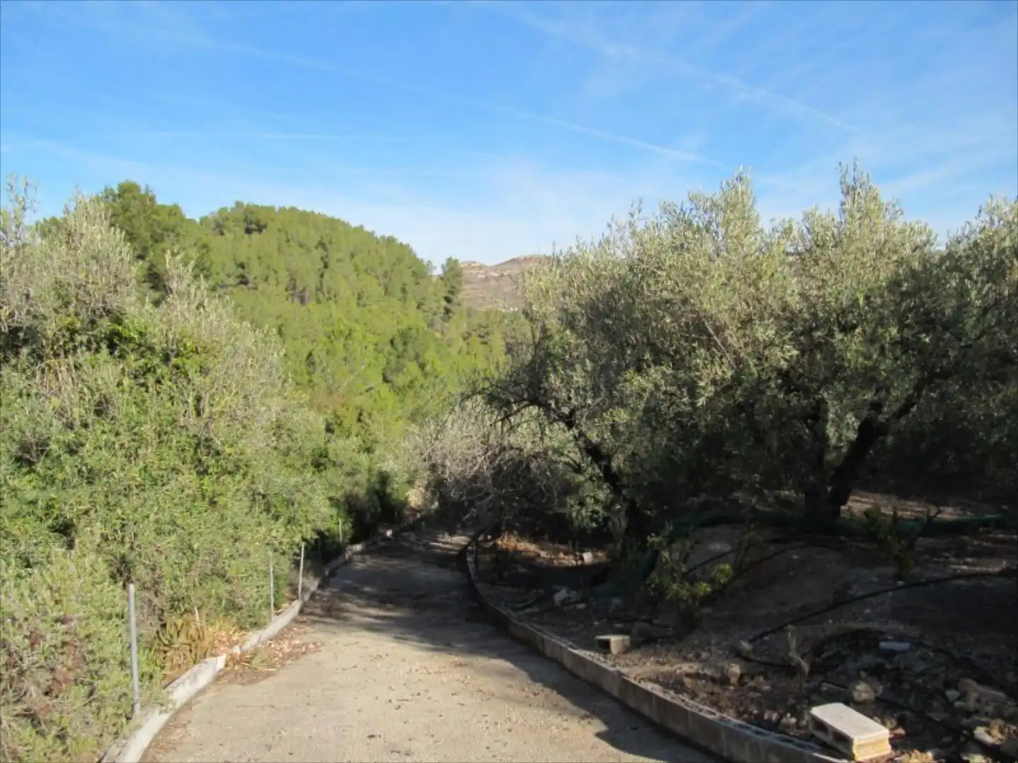 Exterior view of Residential for sale in Barxeta