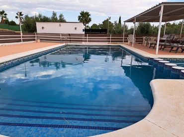 Xalet amb piscina en venda a El Pino