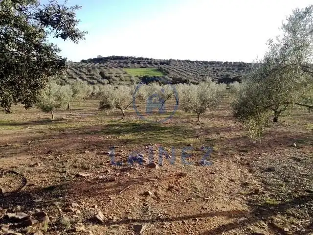 Wohnbaugrundstück zum Verkauf in La Granjuela, imagen 2