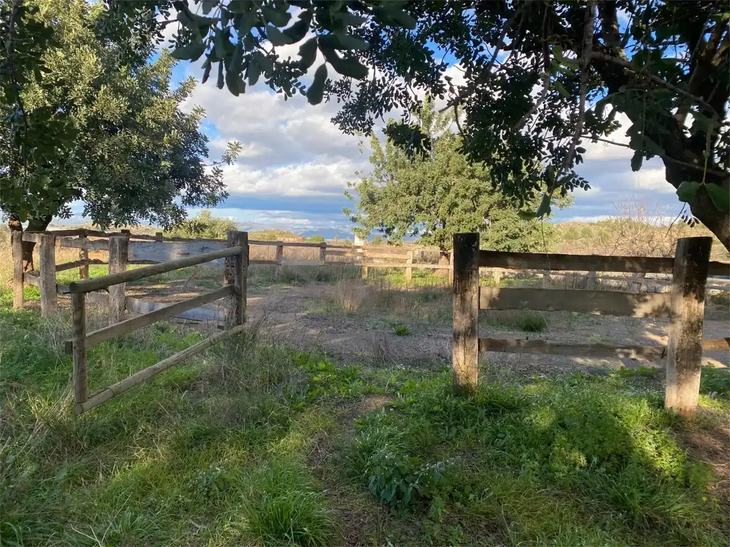 Finca rústica en venta en Llíria