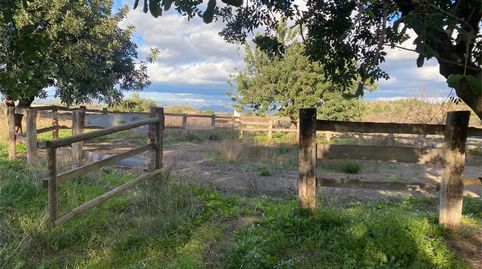 Foto 4 de Finca rústica en venta en Santa Bárbara, Llíria