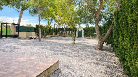 Photo 3 of Houses for rent in Lugar Escorredor, Dolores, Alicante