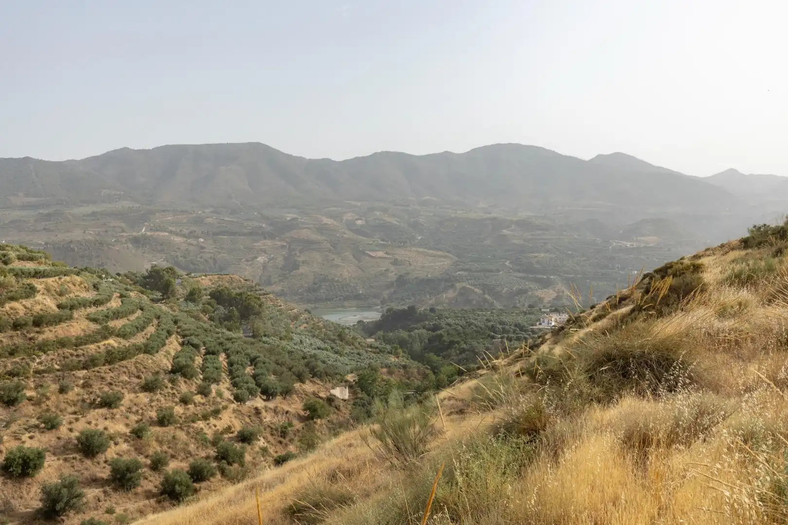 Land for sale in Lecrín