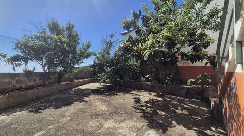 Foto 3 de Casa o chalet en venta en C. Pepito Rosa , Valsequillo de Gran Canaria, Las Palmas