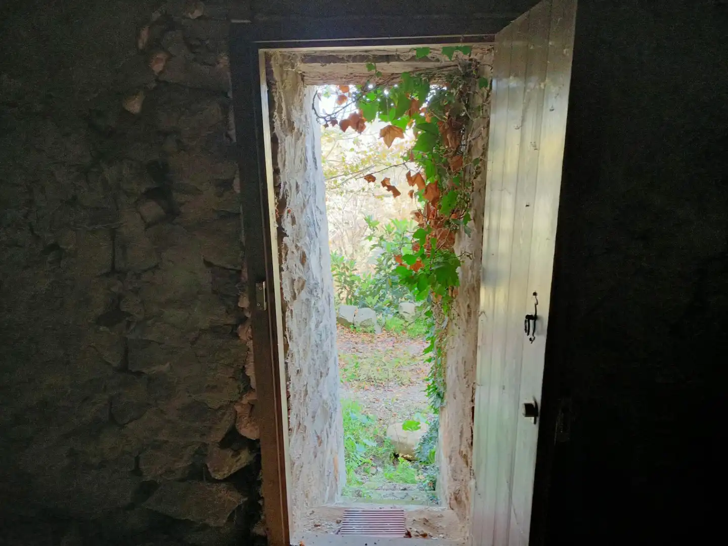 Finca rústica en venta en Codo