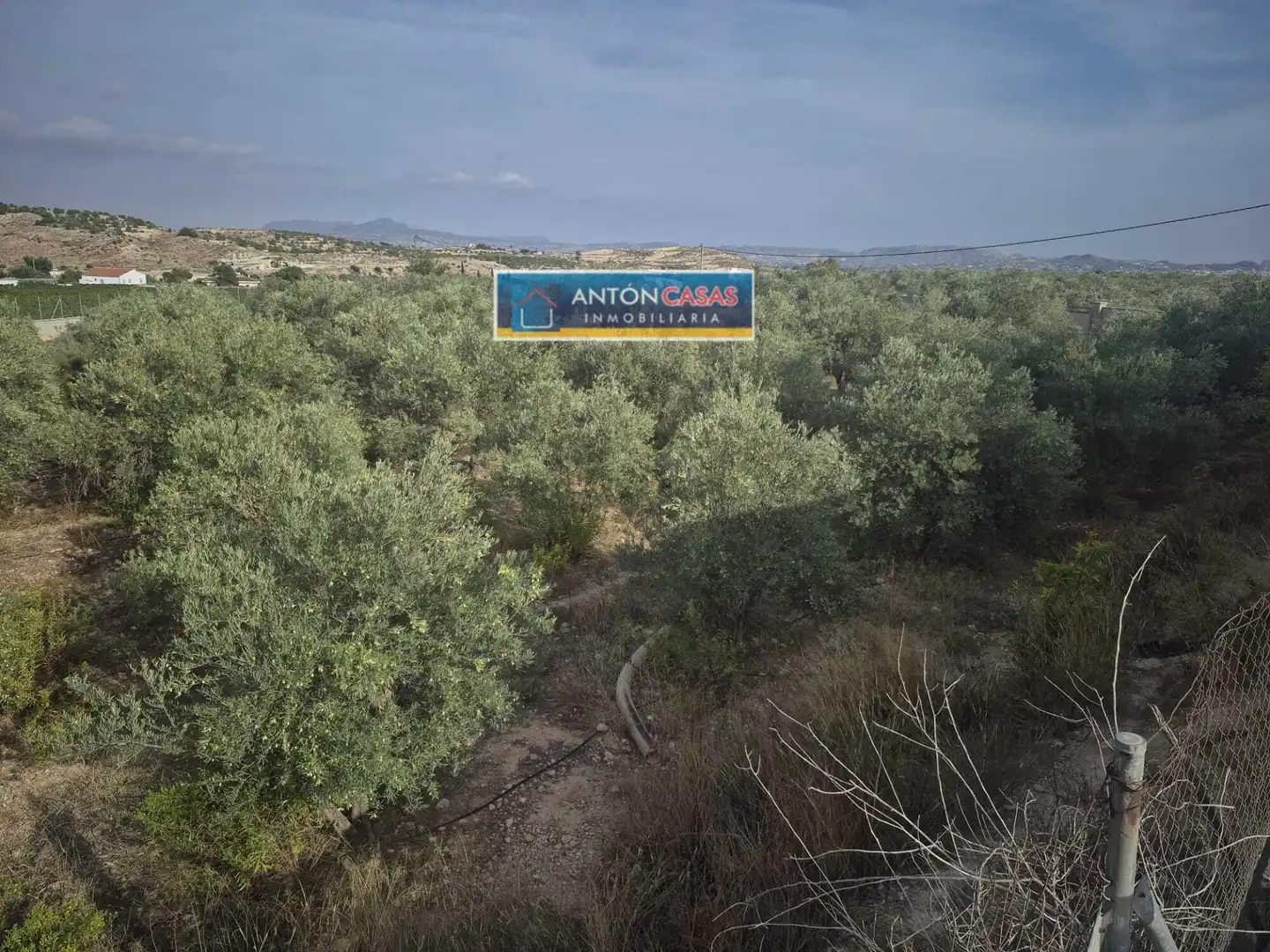Finca rústica en venta en Novelda, Alicante