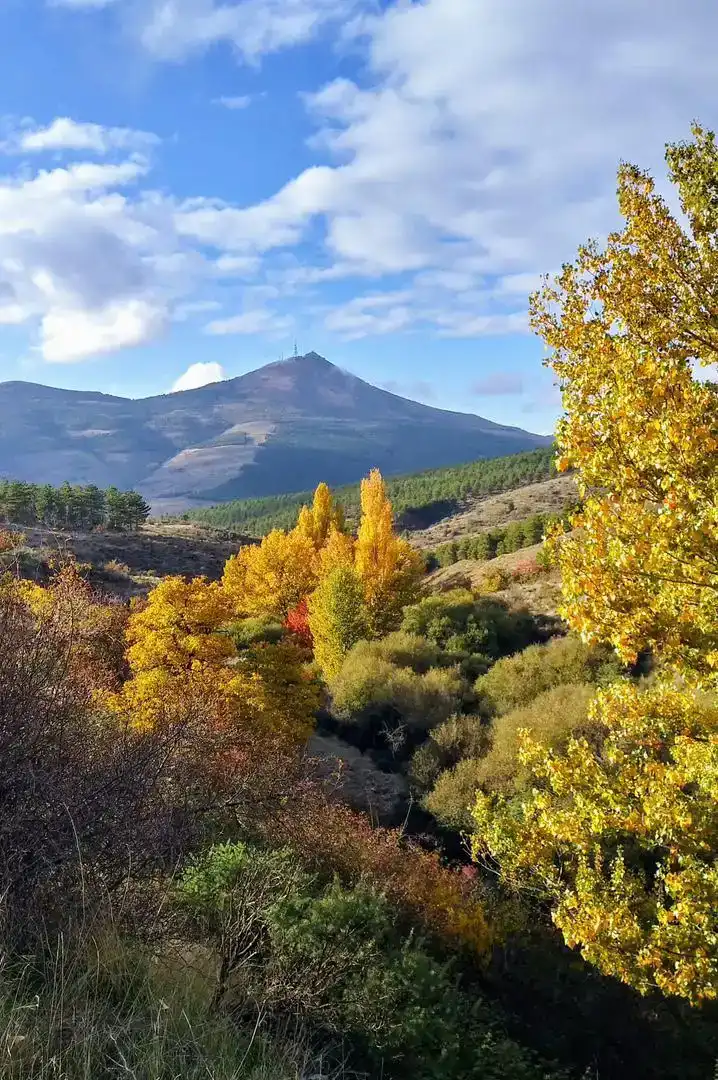 Vista exterior de Terreno en venta en Velefique, Almería