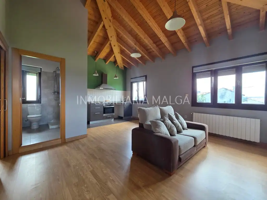Sala d'estar de Casa o xalet en venda en Colunga amb Calefacció i Parquet
