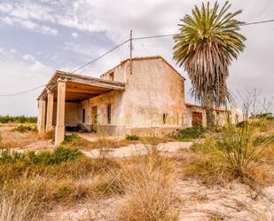 Exterior view of Land for sale in Elche / Elx