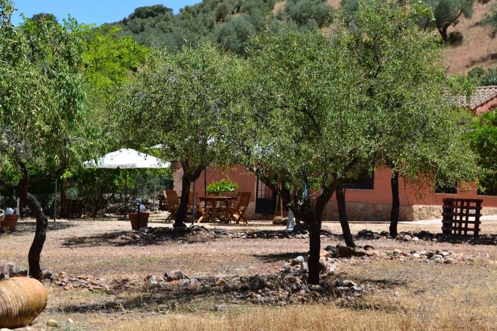 Finca rústica en venda a Belvís de la Jara