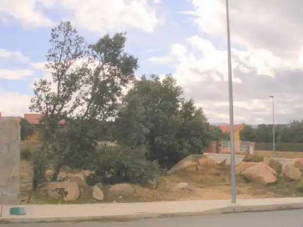 Terreni e lotti in vendita a Zarzuela del Monte, imagen 2