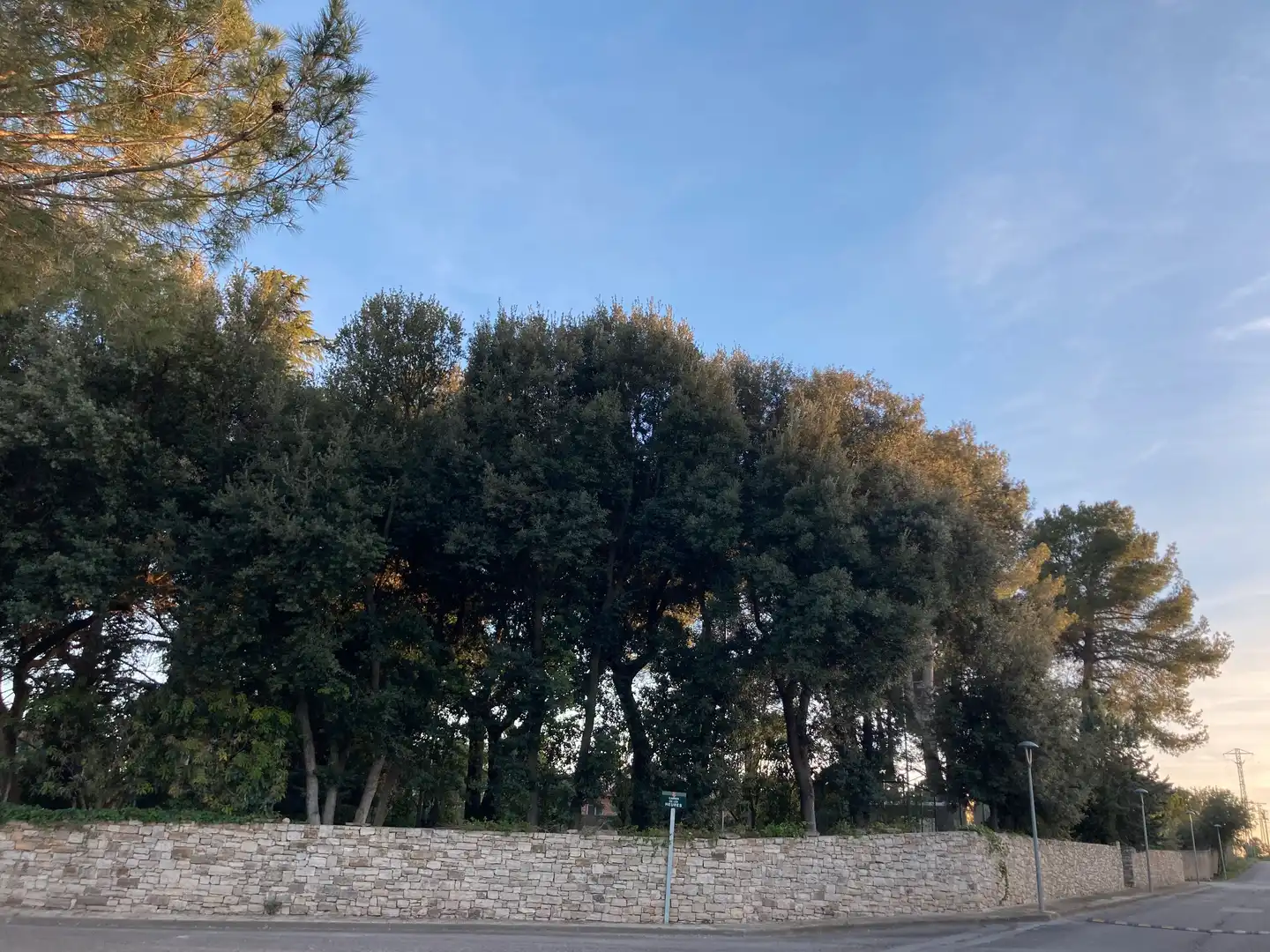 Terreny residencial en venda a La Pobla de Claramunt, imagen 4