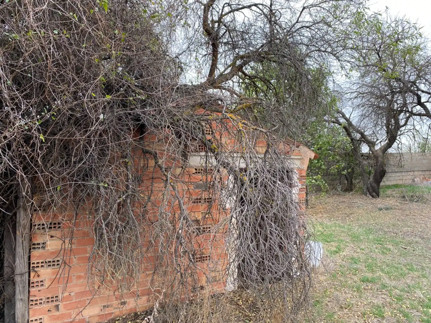 Finca rústica en venta en Monreal del Campo