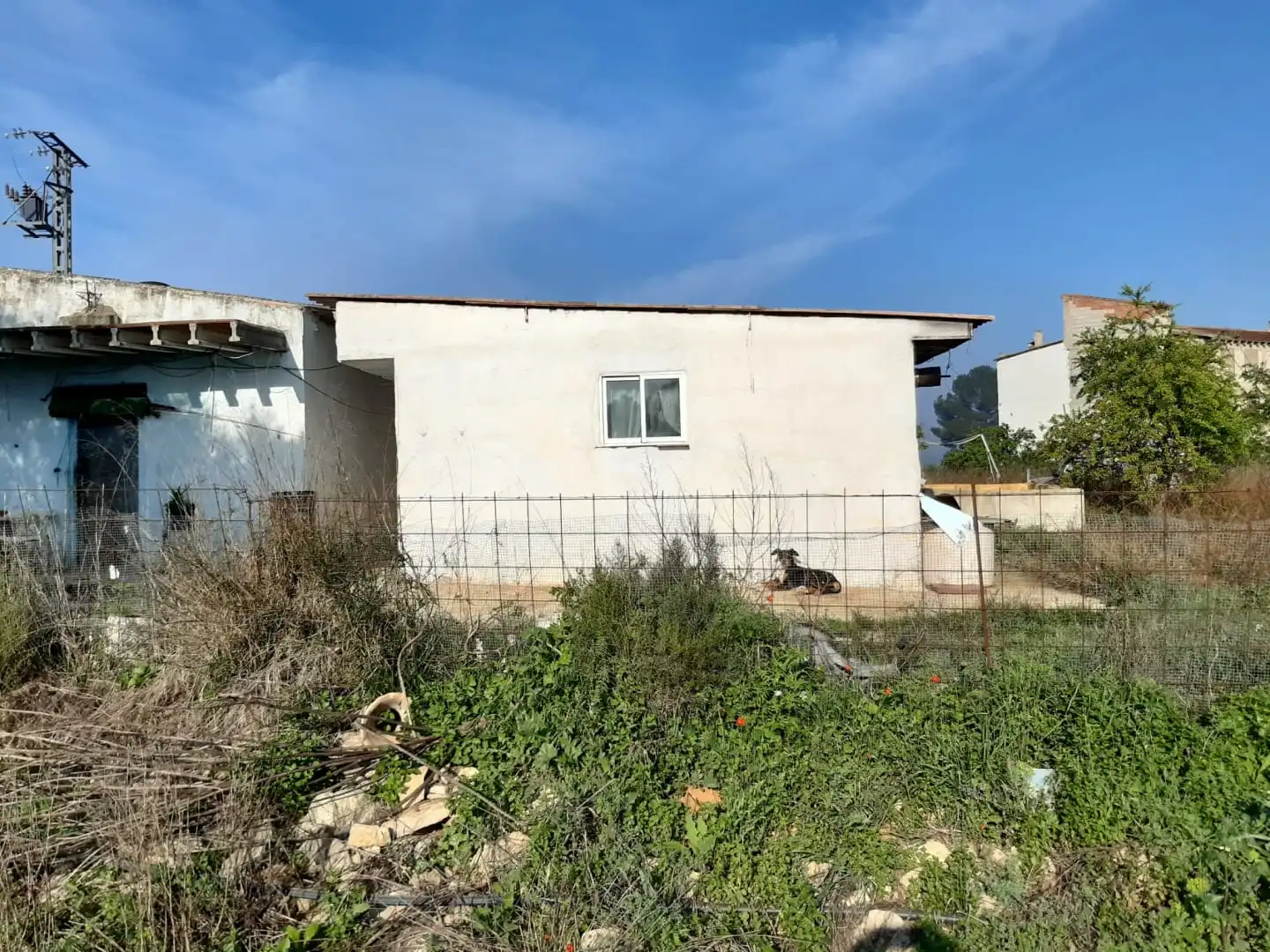 Exterior view of Industrial buildings for sale in Benigànim