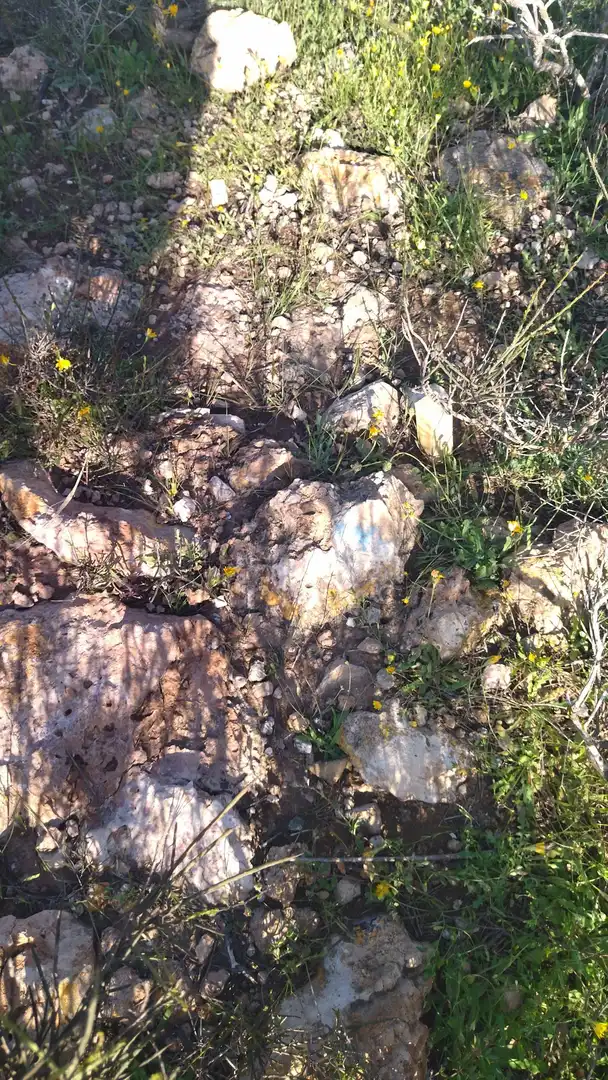 Terreny rústic en venda a San Isidro - Campohermoso, imagen 37