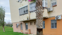 Exterior view of Apartment for sale in San Roque