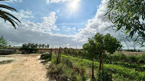 Foto 2 de Finca rústica en venda a Pozoalbero, Jerez de la Frontera