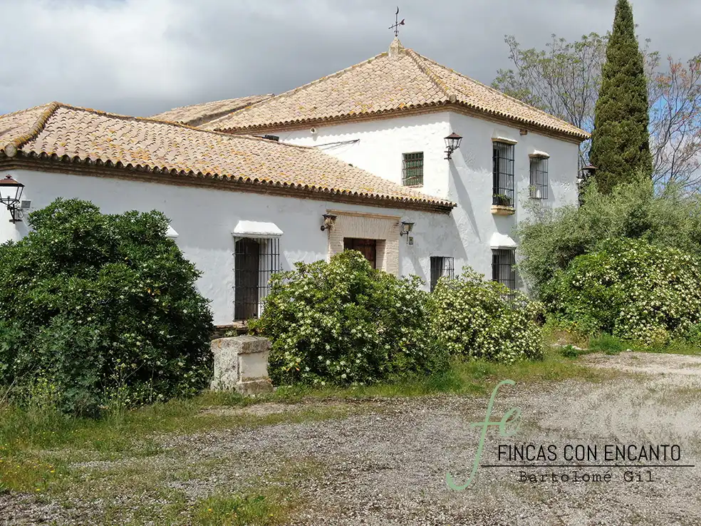 Vista exterior de Finca rústica en venda en Marchena amb Aire condicionat, Terrassa i Piscina