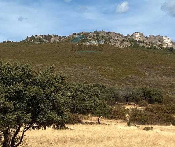 Terreno en Venta en Cabañas del Castillo