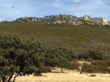 Terreny rústic en venda a Cabañas del Castillo