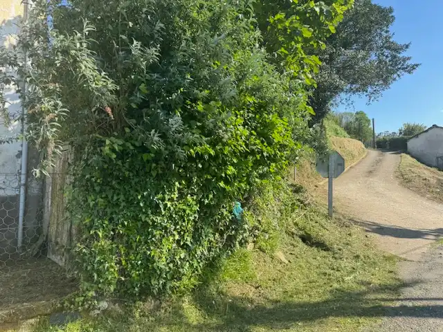 Casa o xalet en venda en Castropol
