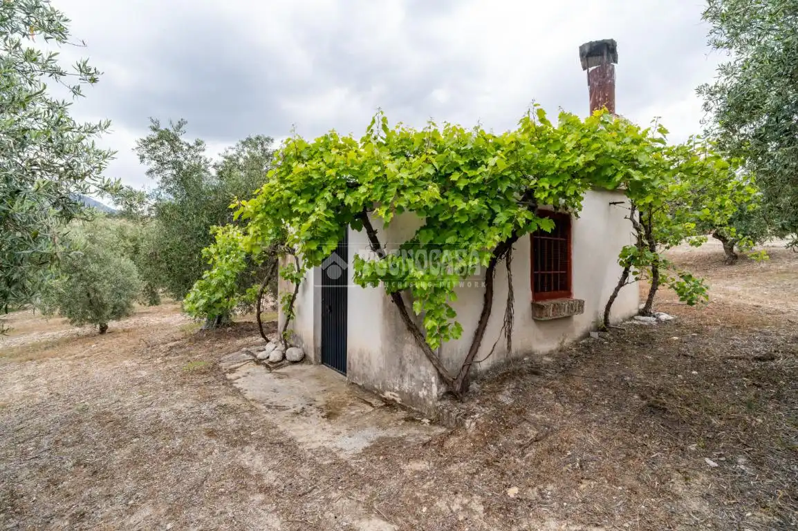 Terreni e lotti in vendita a Albaicín, imagen 27