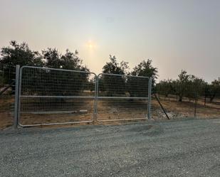 Industrial land for sale in Utrera
