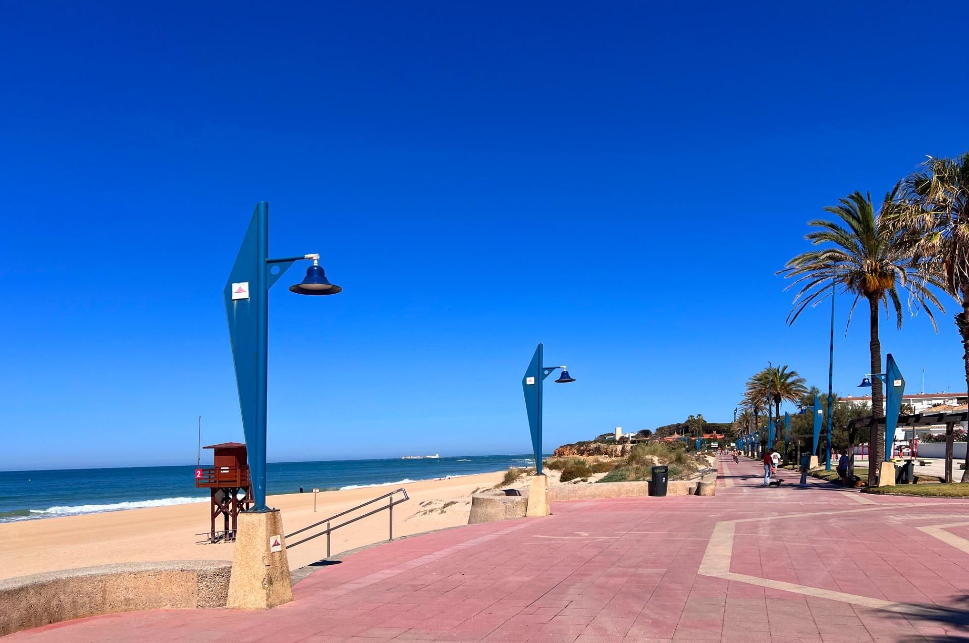 Vista exterior de Casa adosada en venda en Chiclana de la Frontera amb Aire condicionat, Calefacció i Jardí privat