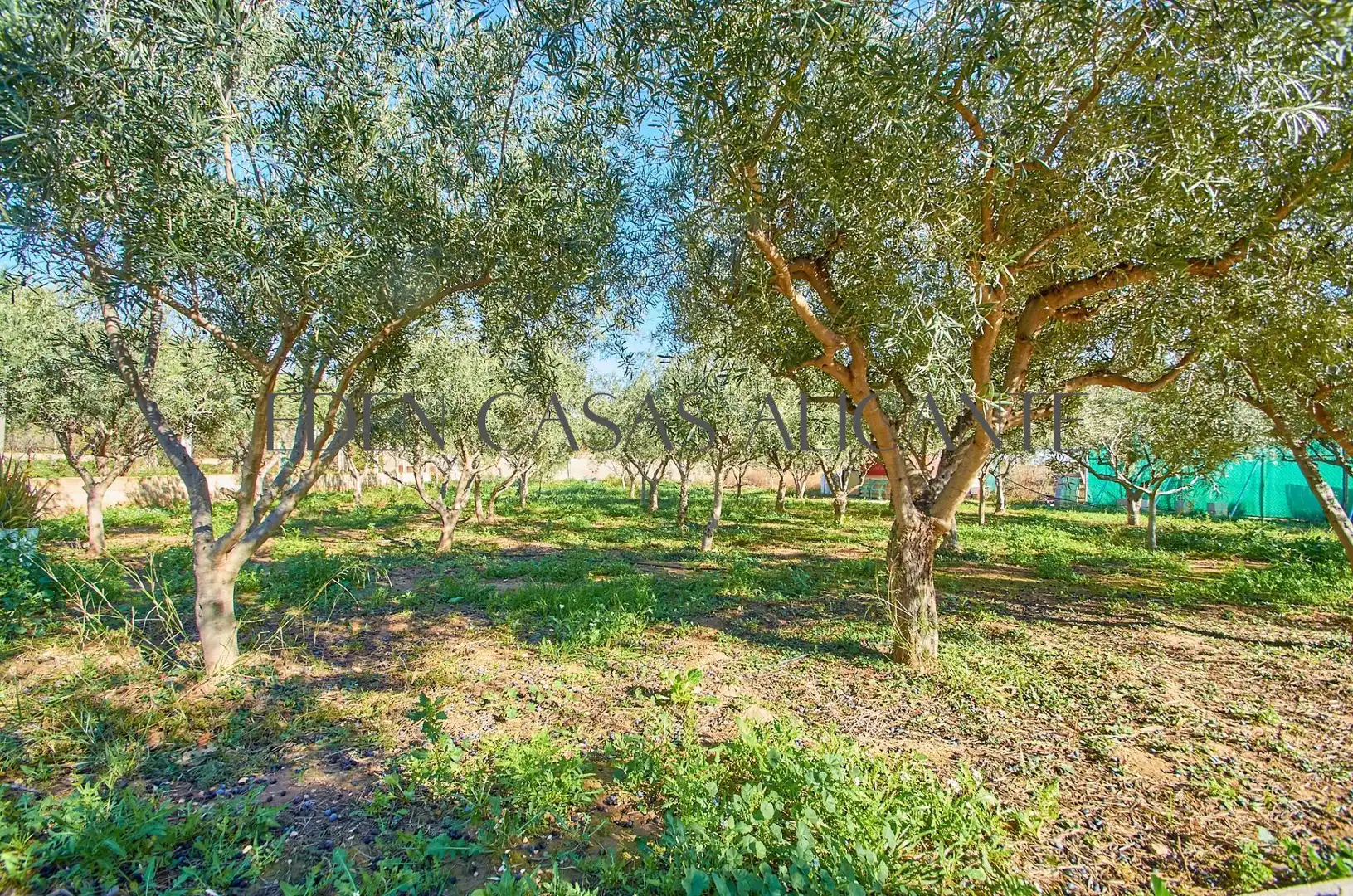 Casa o xalet en venda en Alicante / Alacant amb Aire condicionat, Jardí privat i Terrassa
