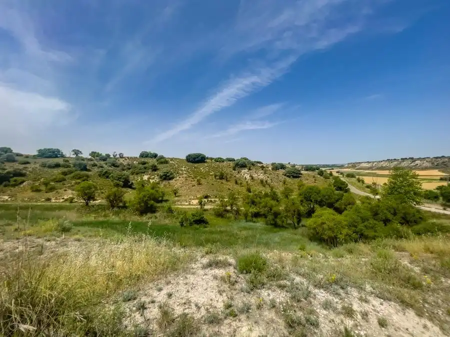Residencial en venda en Lillo