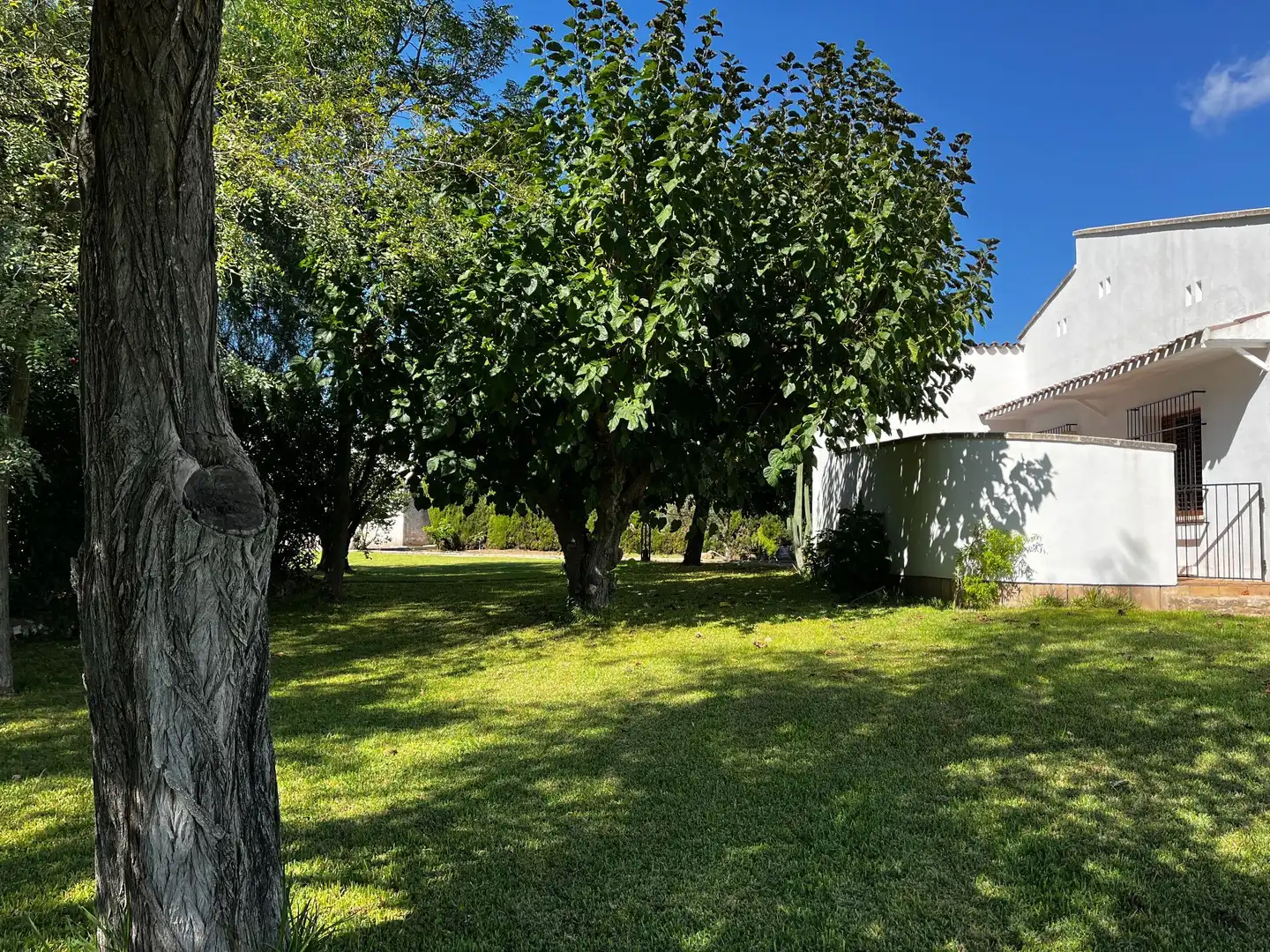 Jardí de Casa o xalet en venda en Ontinyent amb Calefacció, Jardí privat i Traster