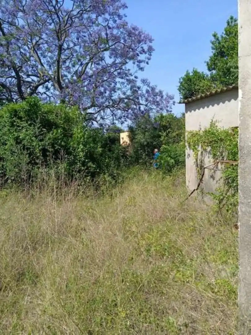 Casa o xalet en venda en Benicarló