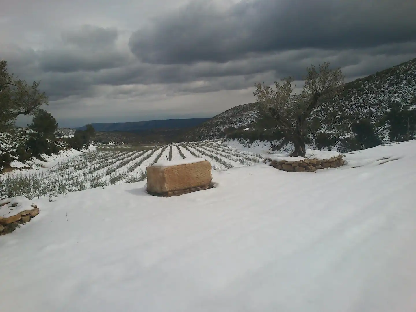 Finca rústica en venta en Enguera con Calefacción, Jardín privado y Terraza