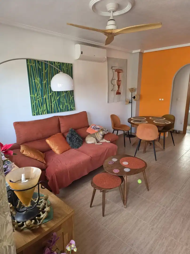Sala d'estar de Casa o xalet en venda en Rojales