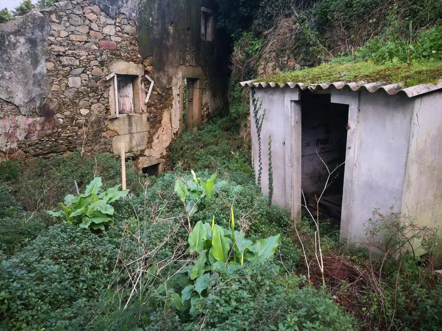 Terreni e lotti in vendita a Malpica de Bergantiños, imagen 5