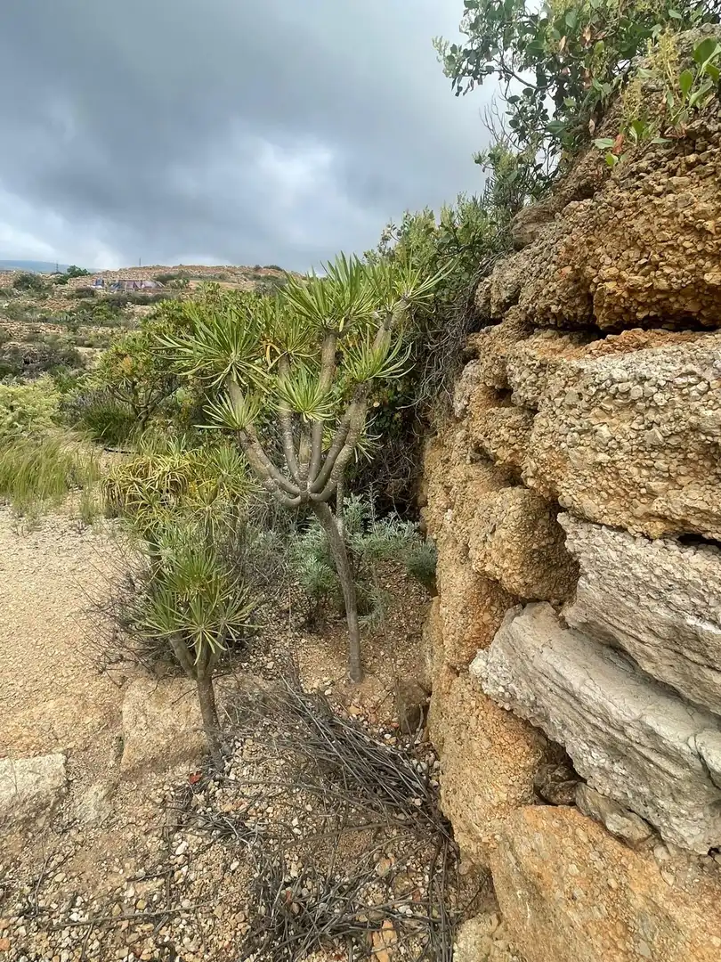 Terreno rustico in vendita a Arico, imagen 17