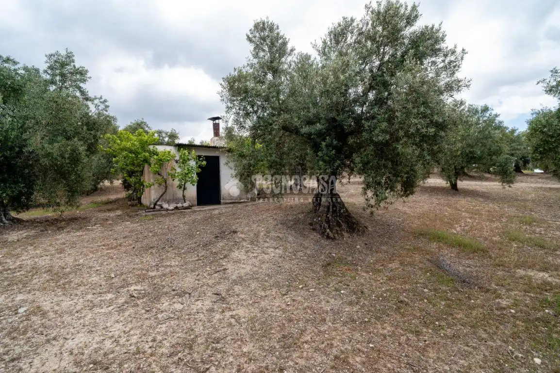 Terreni e lotti in vendita a Albaicín, imagen 16