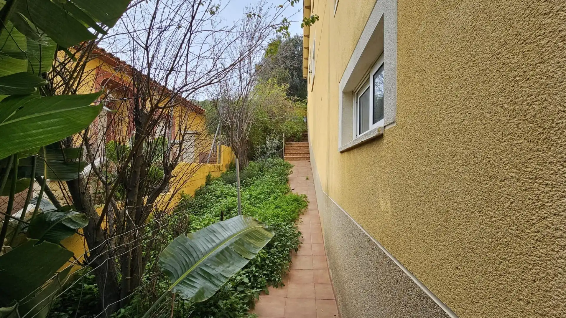 Vista exterior de Casa o chalet en venta en El Vendrell con Jardín privado
