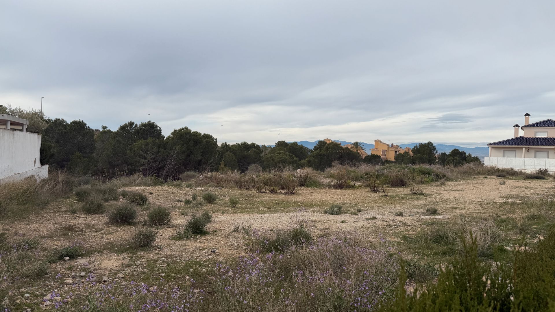 Residencial en venta en Molina de Segura