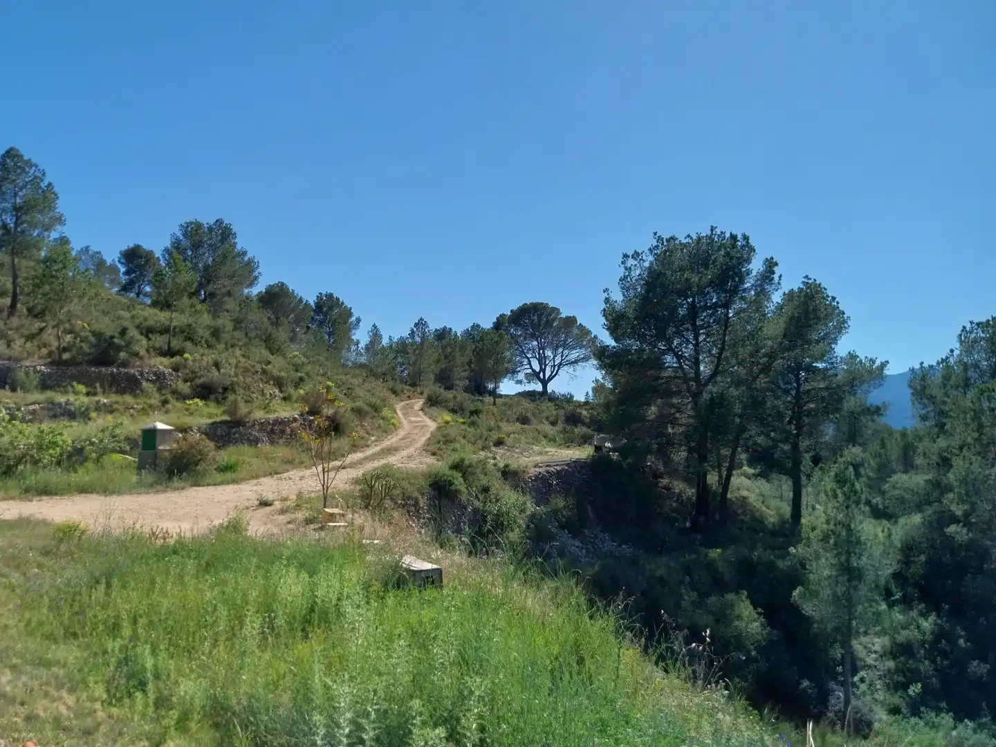 Terreno rustico in vendita a Lugar Castillo, imagen 25
