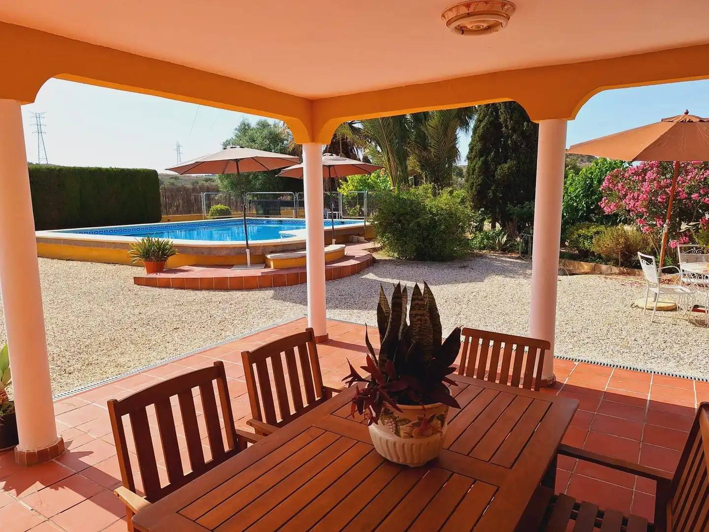 Jardí de Casa o xalet en venda en Alicante / Alacant amb Jardí privat, Terrassa i Traster