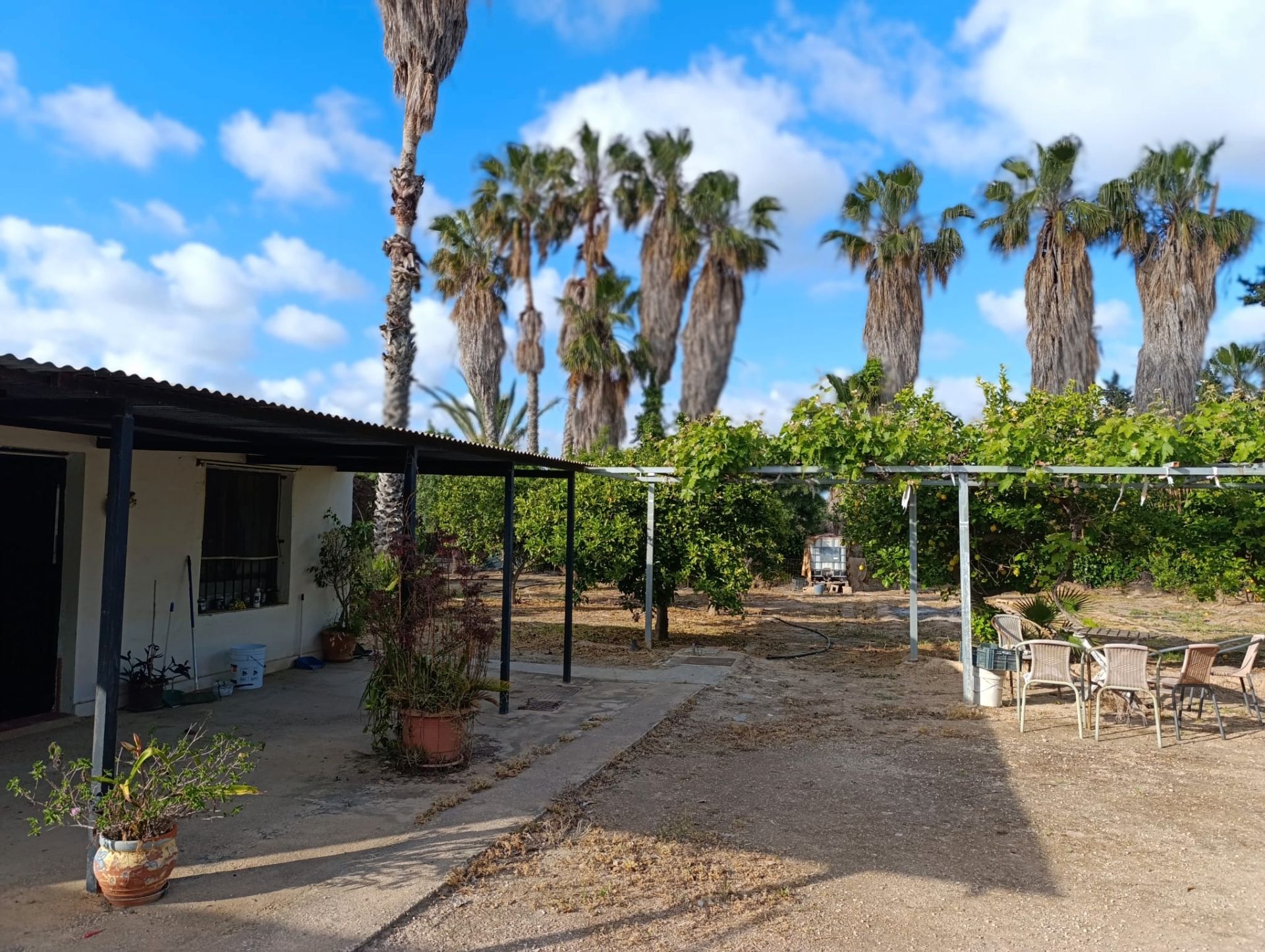 Garden of House or chalet for sale in San Javier  with Private garden