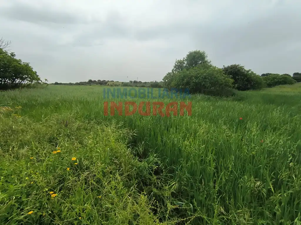 Country homes for sale in Peraleda de la Mata