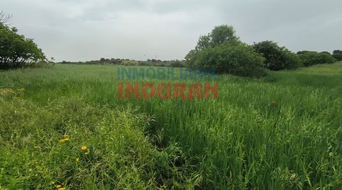Photo 3 of Country homes for sale in Peraleda de la Mata, Cáceres