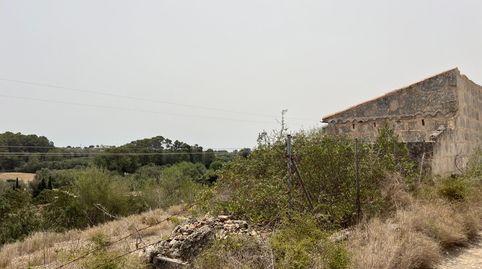 TERRENO EN VENTA EN MURO, imagen 4