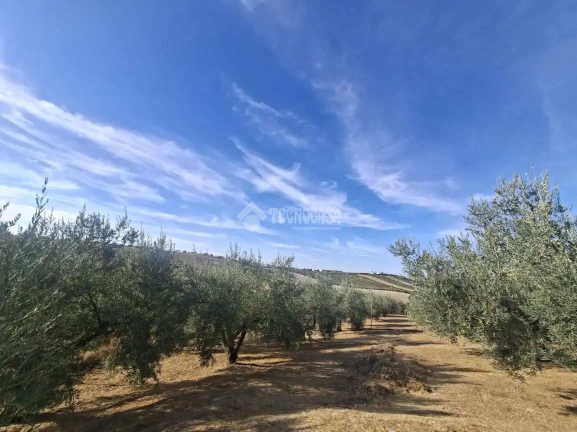 Terreny en venda en Montilla, Córdoba