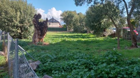 Photo 5 of Industrial land for sale in Urbanización Collado Real, Dehesa – El Soto, Collado Villalba